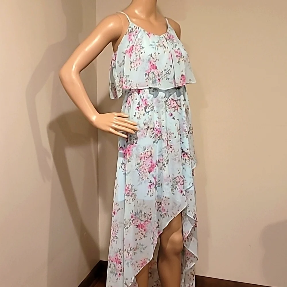 Disney Cinderella The Collection Dress - Blue & Pink Sheer Floral High Low